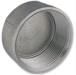 Low Pressure Threaded Cap Fitting 316 Stainless Steel 4-8 [NPT]